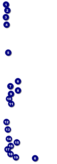 Carnival Monkey Event Ticket Front Field Markers