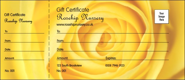 Yellow Rose Gift Certificate Product Front