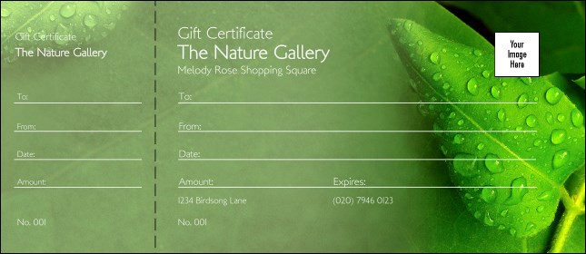 Raindrops Gift Certificate Product Front