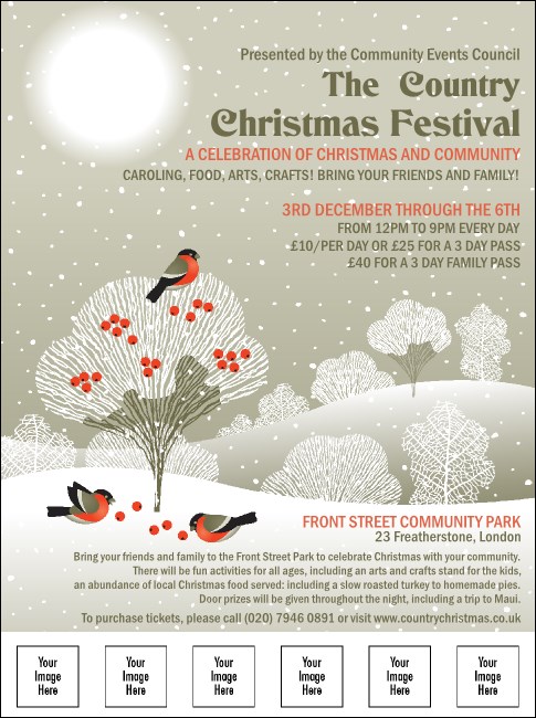 Winter Bird Flyer With Place Holder Image Product Front