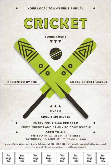 Cricket 3 Logo Poster