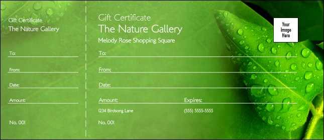 Nature Series - Green Leaves Gift Certificate Product Front